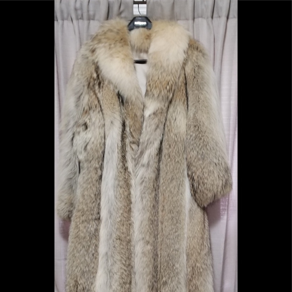 Long coyote fur